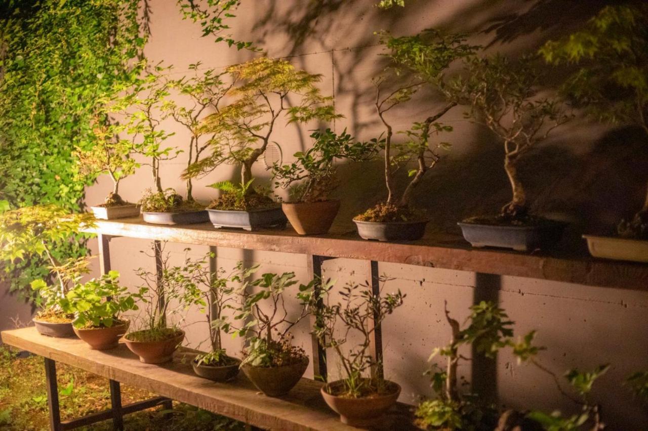 Апартаменты Il Giardino Segreto Carbognano Экстерьер фото