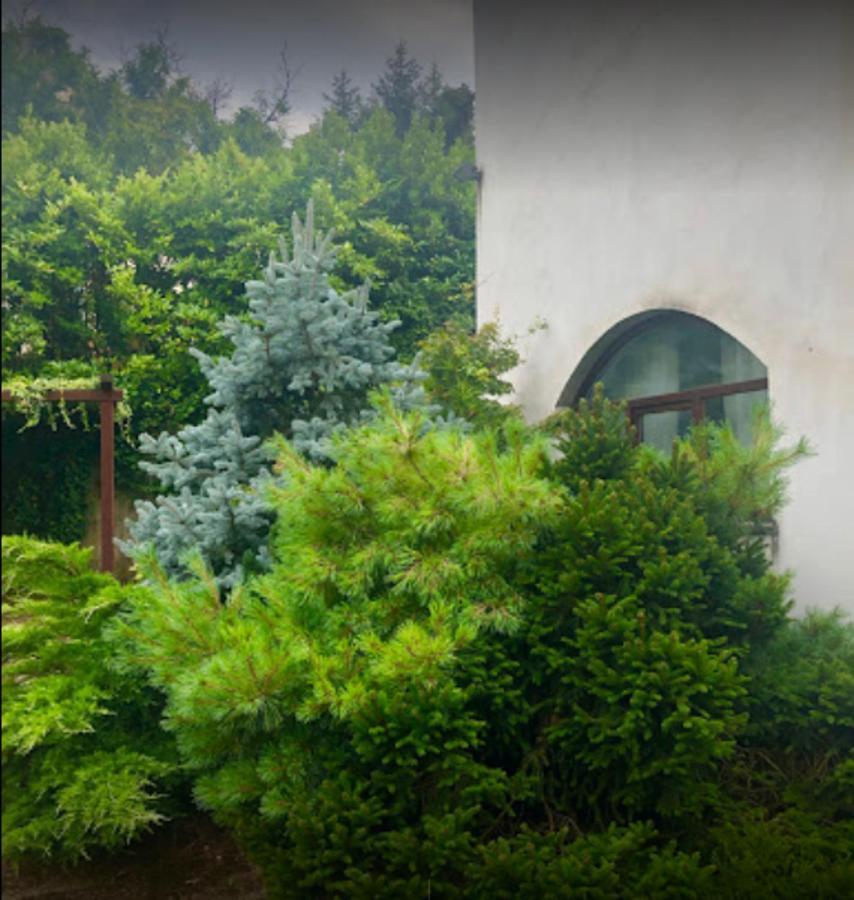 Апартаменты Il Giardino Segreto Carbognano Экстерьер фото